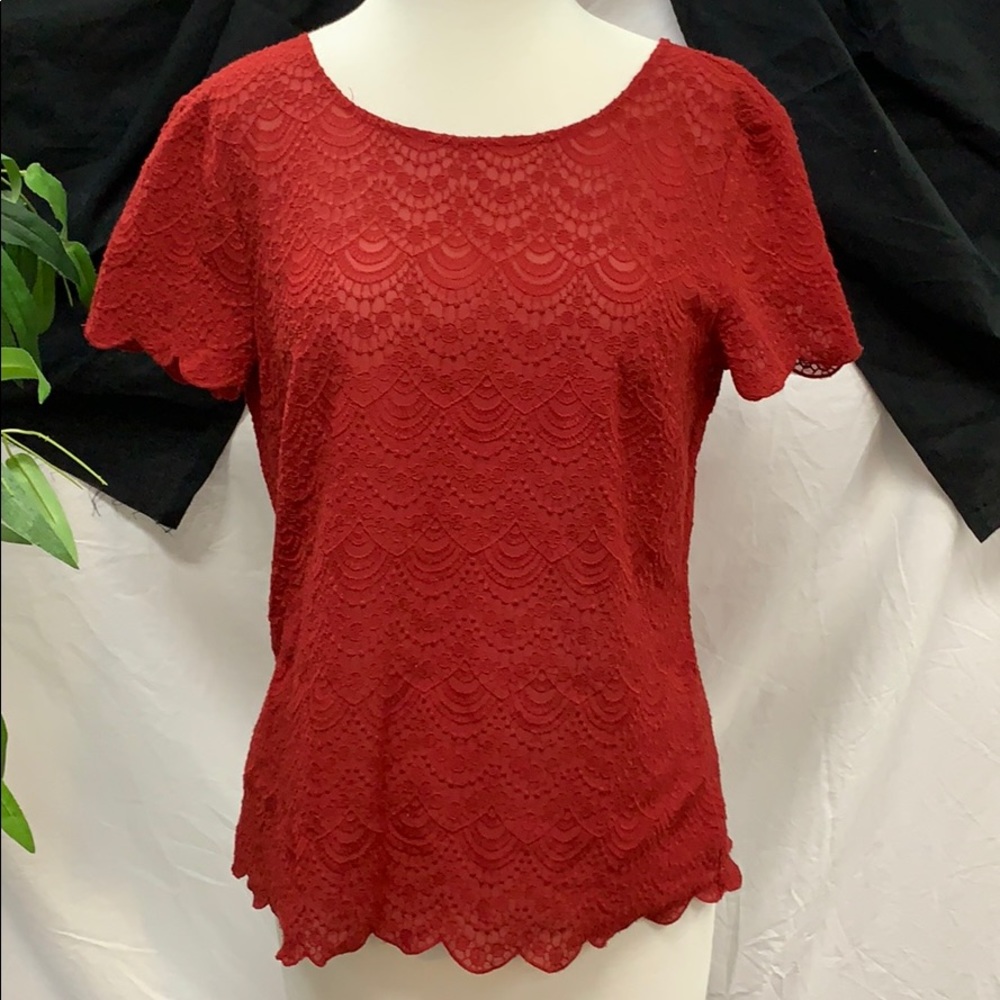 Loft Dark Red Short Sleeve Top